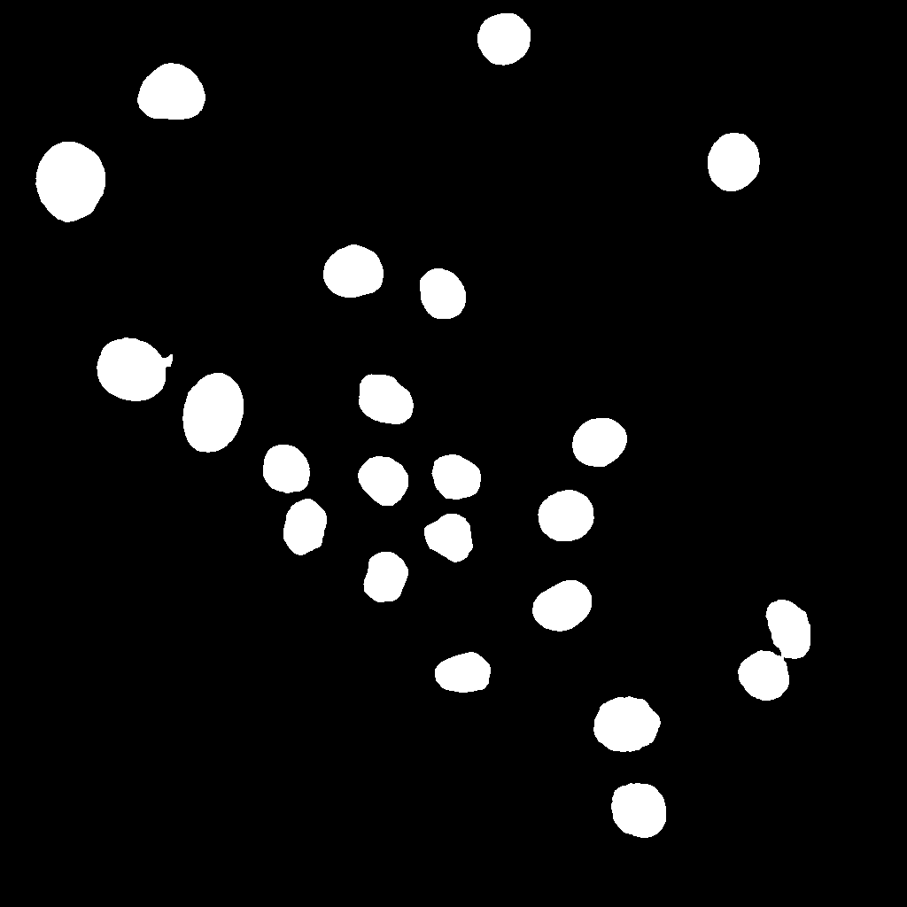 Ground Truth ST Mask